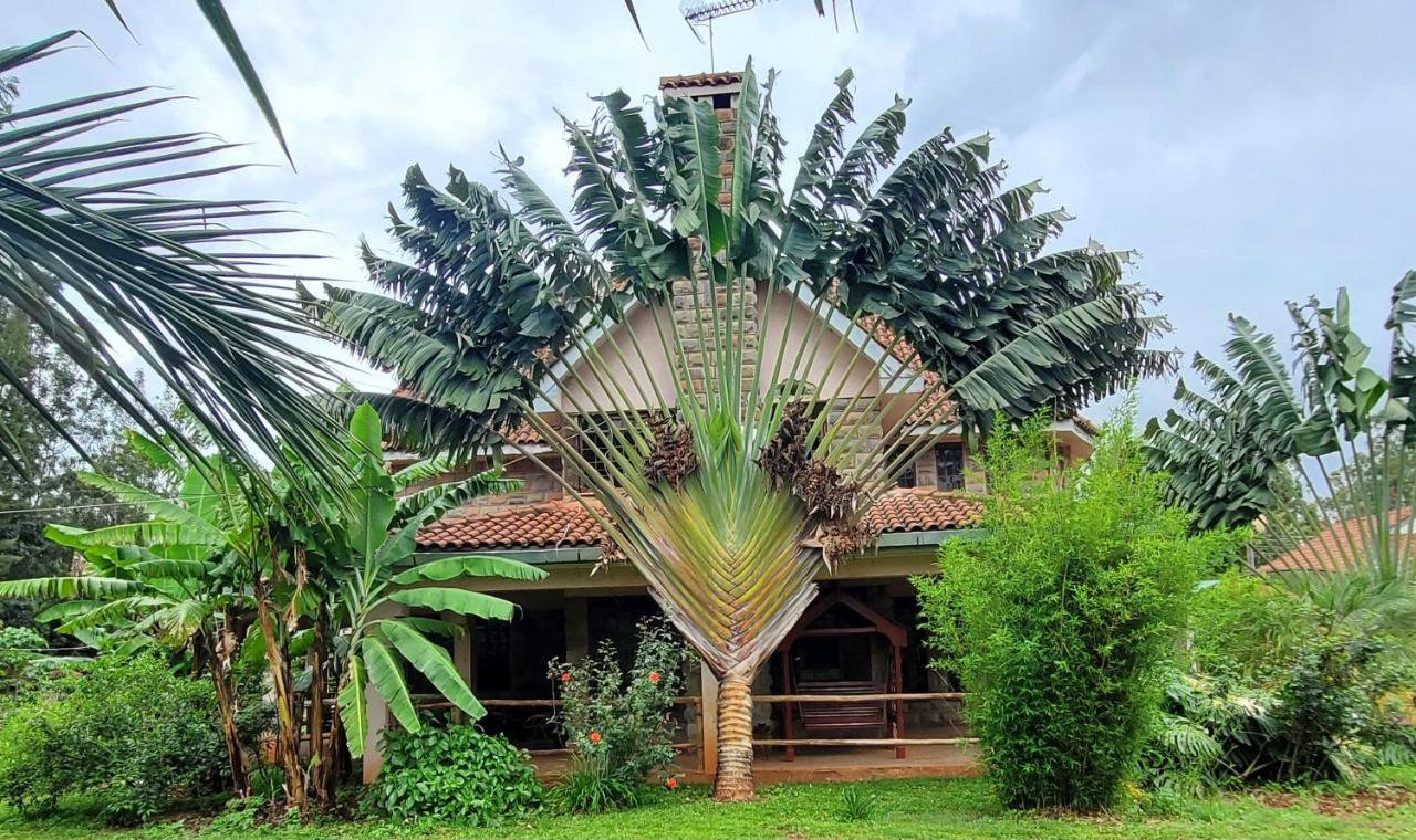 Edaala Comfort - B&B Nairobi Eksteriør billede