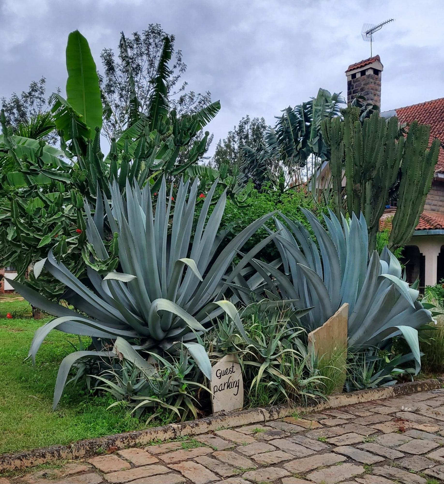 Edaala Comfort - B&B Nairobi Eksteriør billede