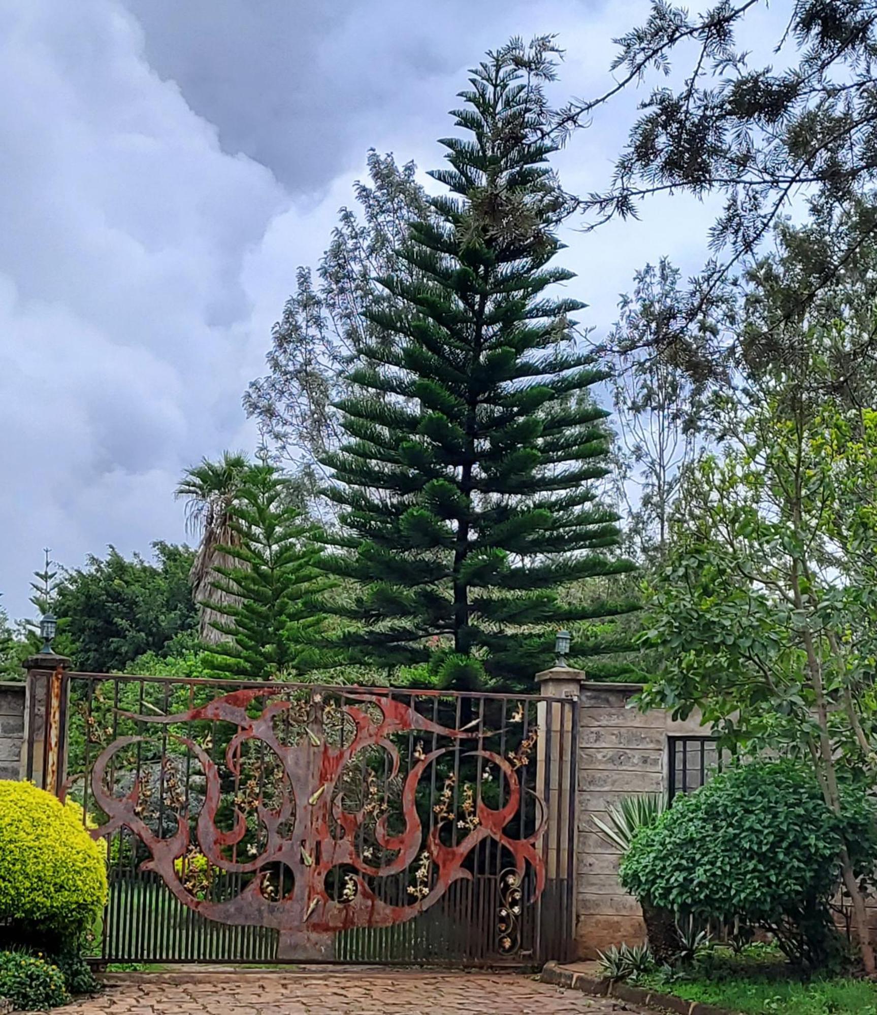 Edaala Comfort - B&B Nairobi Eksteriør billede