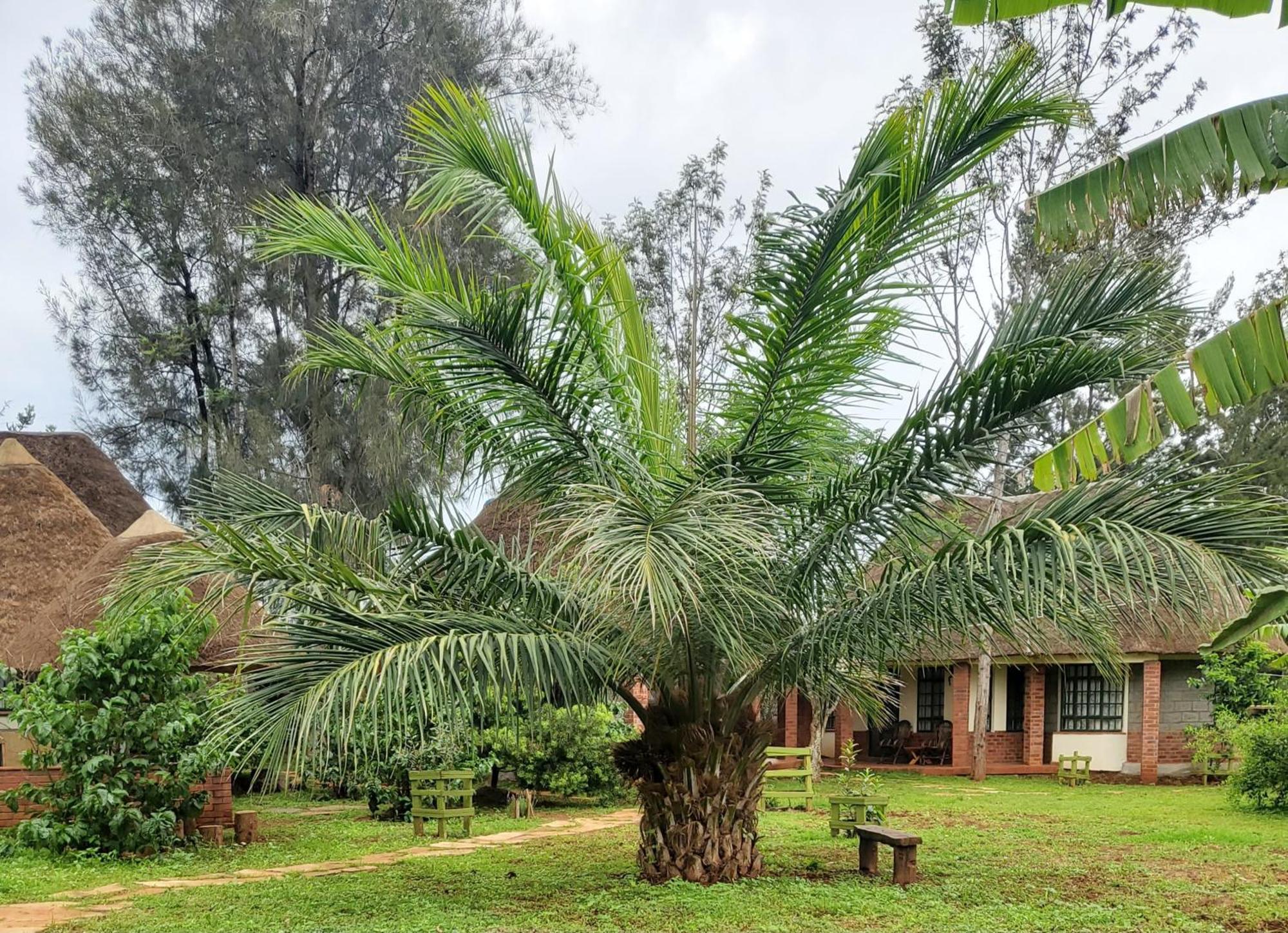 Edaala Comfort - B&B Nairobi Eksteriør billede