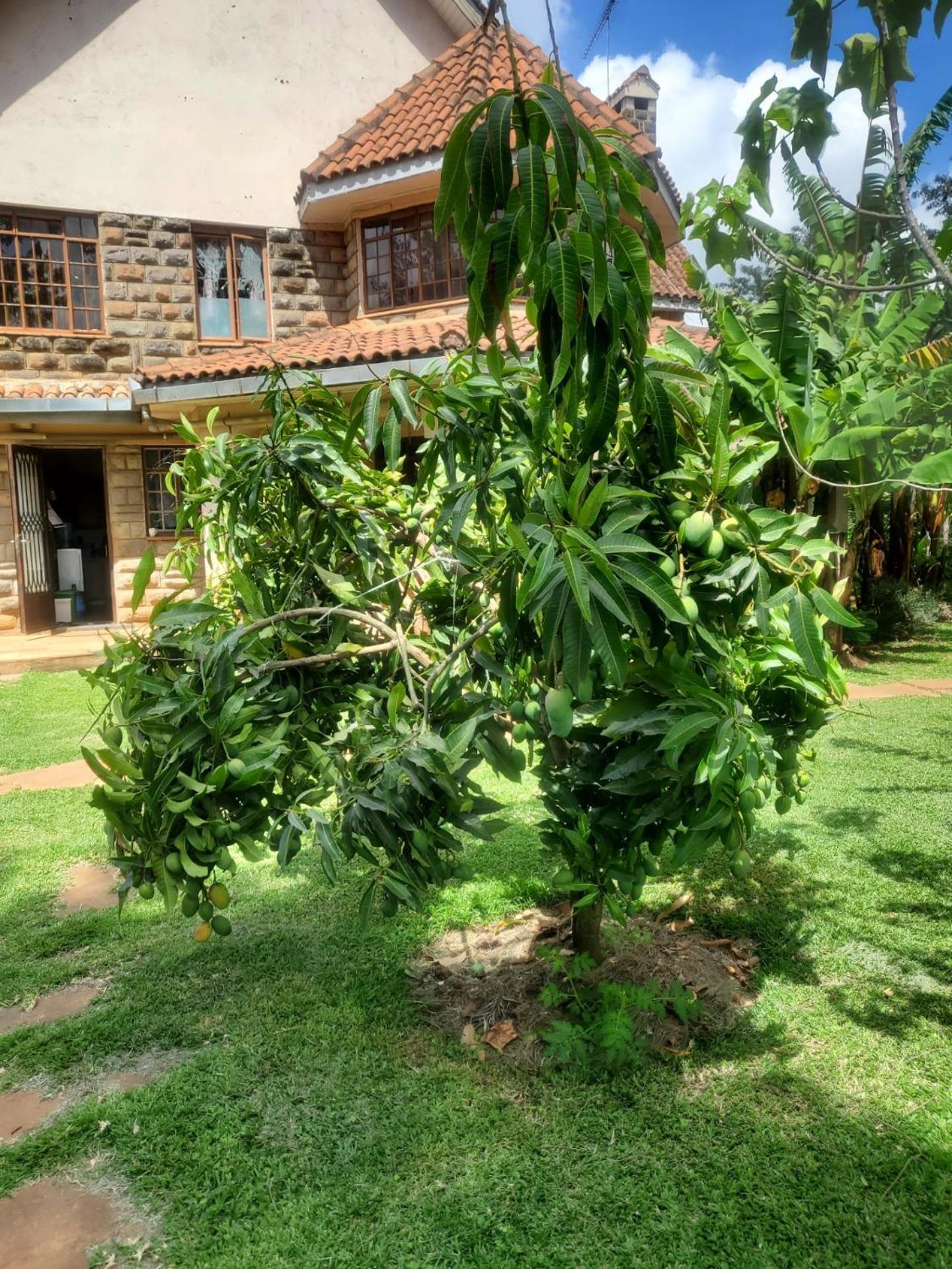 Edaala Comfort - B&B Nairobi Eksteriør billede