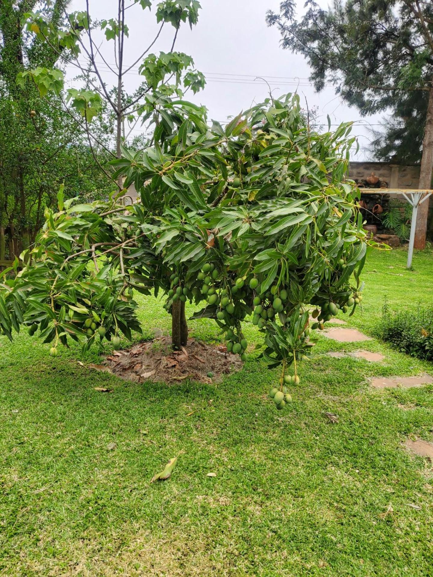 Edaala Comfort - B&B Nairobi Eksteriør billede